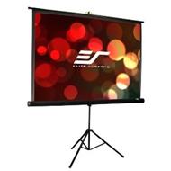 ELITE SCREENS T100UWV1 152X203 
