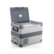 G21 C60