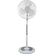 ECG FS 40A RB WHITE