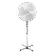 ESPERANZA EHF001WW