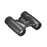 OLYMPUS 10X21 RC II DARK SILVER
