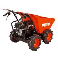 HECHT 2636 