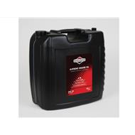BRIGGS & STRATTON SAE30 25L