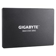 GIGABYTE 256GB, GSTFS31256GTND
