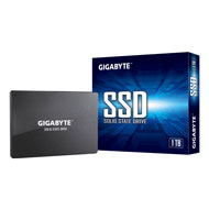 GIGABYTE 1TB, GP-GSTFS31100TNTD