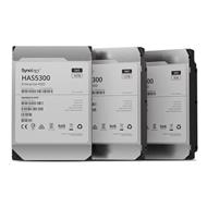 SYNOLOGY HAS5300-12T