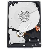 WESTERN DIGITAL GOLD 1TB, WD1005FBYZ