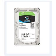 SEAGATE SKYHAWK 6TB, SATAIII, 5400RPM, ST6000VX001