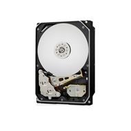 WESTERN DIGITAL DC HC330 10TB WUS721010ALE6L4