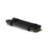 AXAGON CLR-M2L6 PASSIVE