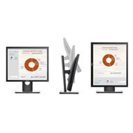 DELL PROFESSIONAL P1917S