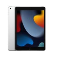 APPLE IPAD WI-FI 256GB SILVER, MK2P3FD/A