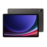 SAMSUNG GALAXY TAB S9 5G SM-X716 12GB/256GB GRAY