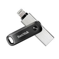 SANDISK 256GB, SDIX60N-256G-GN6NE
